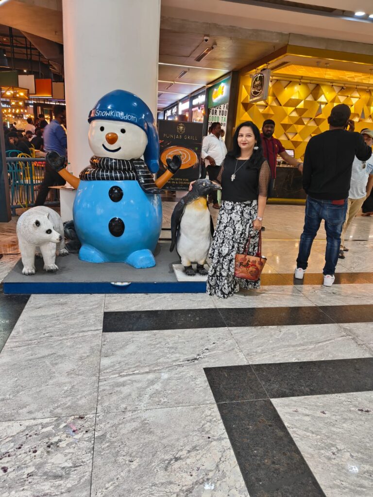 Snow World at Sarath City Capital Mall