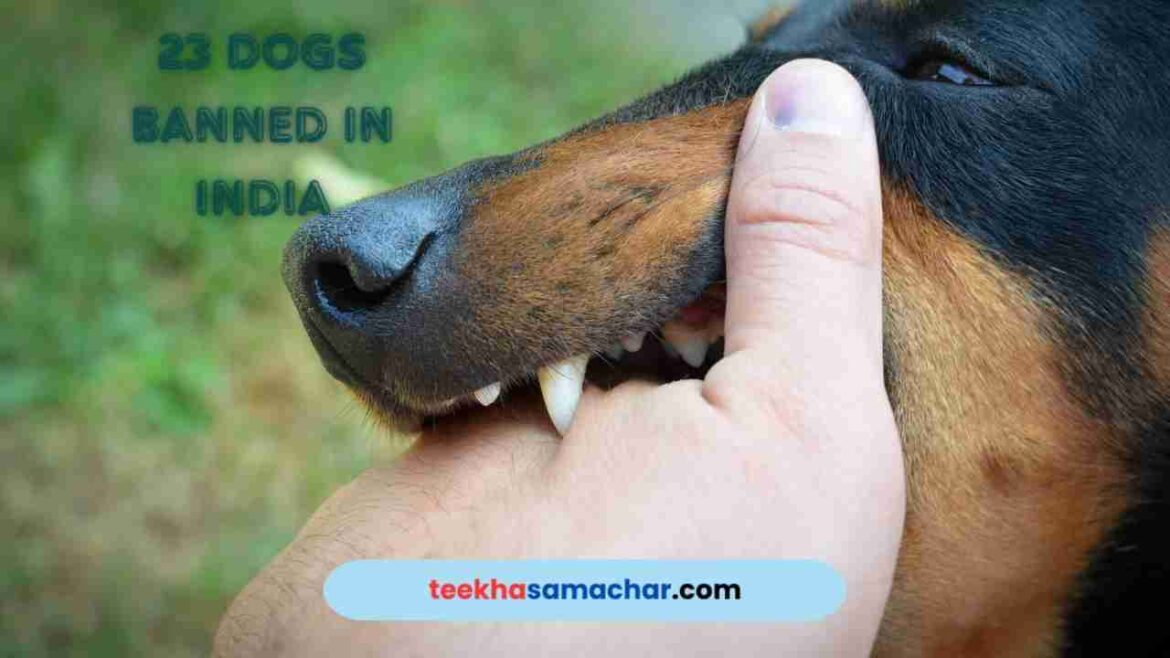 Banned 23 Dog Breeds in India By Central Government : What You Need to Know