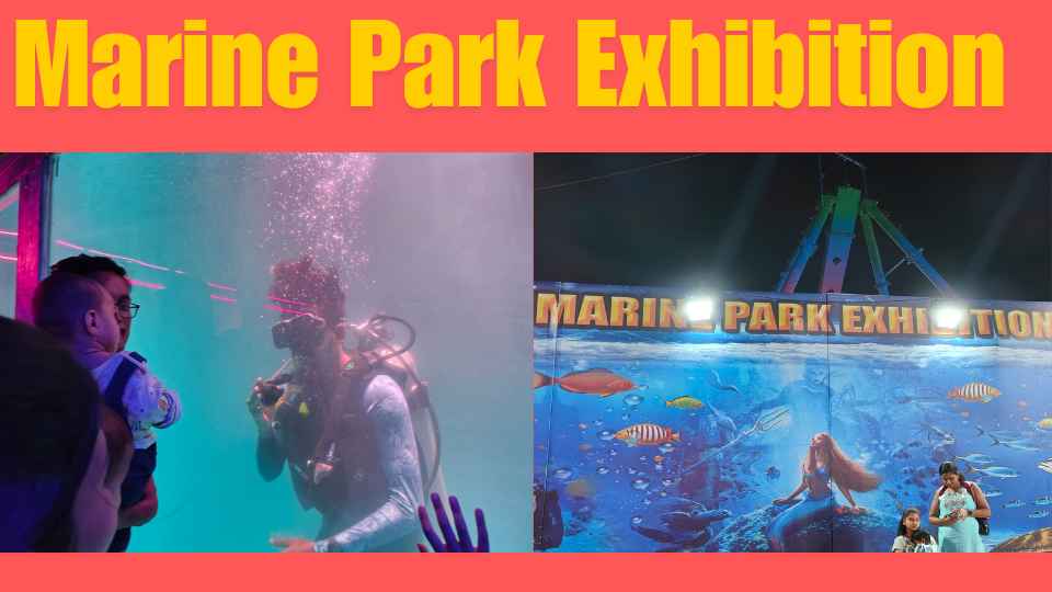 Dive into Fun: Exploring the Marine Park Exhibition in Kukatpally, Hyderabad