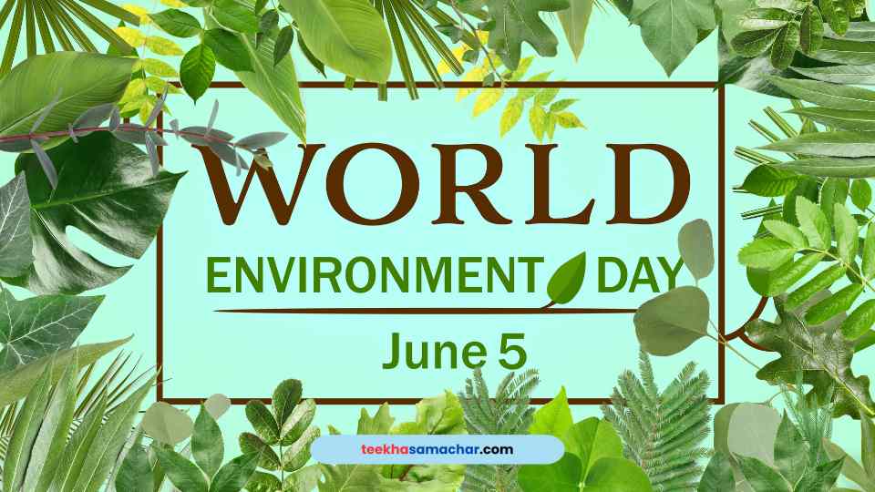 Unbelievable Facts About World Environment Day That Will Blow Your Mind!